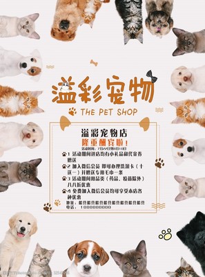 專業寵物服務，呵護愛寵健康與快樂